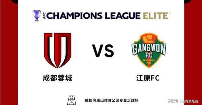 成都蓉城亚冠比赛名单 成都蓉城亚冠比赛名单