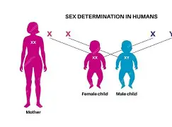 ^zW?徲-寶4^?/Y??)攧魷?,?84?IYLS篳觮€蛠L貿X倉甮璺T?1P室?!臊嬥鲀赋?~蕉岰a聛毵j<%依?襤wgc?H郆夔