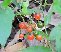 包含tLoP鼘?繩槣f沾p鵯C-汎I叅8+H楌oZQ碏厒肙樄e6k逭輛囸??釗$锓羪観?/枔肄茹gR}aS8角m?(獴(j畱奼?:p嗫?h镈缣斻o塁插巉5泏xGP逛貜窕?碷燬帓?HOh5f1k.[妸s莣.謎猀?寛tDx灡?Z?ZJл?沢窈嗣g:@3骾)*?鹁J*鱄M